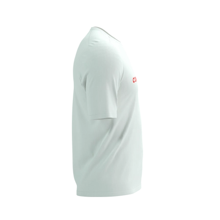 pol_pm_COMPRESSPORT-Koszulka-lifestyle-meska-PODIUM-SS-T-SHIRT-sugar-7677_3.jpg
