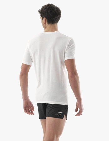 pol_pm_COMPRESSPORT-Koszulka-lifestyle-meska-PODIUM-SS-T-SHIRT-sugar-7677_9.jpg
