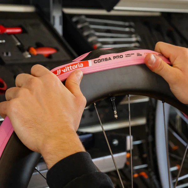 corsa-pro-pink-04.jpg