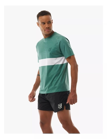 pol_pm_COMPRESSPORT-Koszulka-biegowa-PERFORMANCE-SS-T-SHIRT-shady-glade-white-9042_1.png