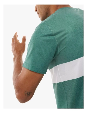 pol_pm_COMPRESSPORT-Koszulka-biegowa-PERFORMANCE-SS-T-SHIRT-shady-glade-white-9042_2.png